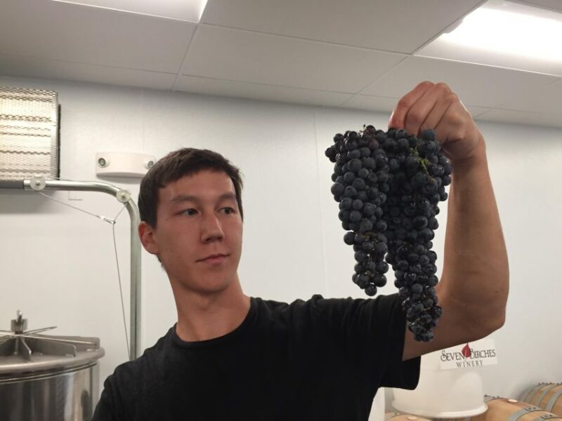 Seven Birches Winery - Meet the Winemakers Winery Tour - Tasting Flight & Young Wines