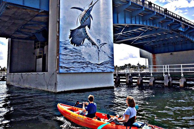 Seven Isles Tour & Exclusive Fort Lauderdale Mangrove & ECO Paddle Board / Kayak - What the Tour Covers