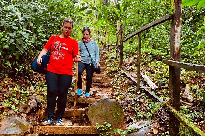 Seven Sisters Falls Hike / Annandale Falls / Grand Etang National Park & Lake - The Challenges and Considerations