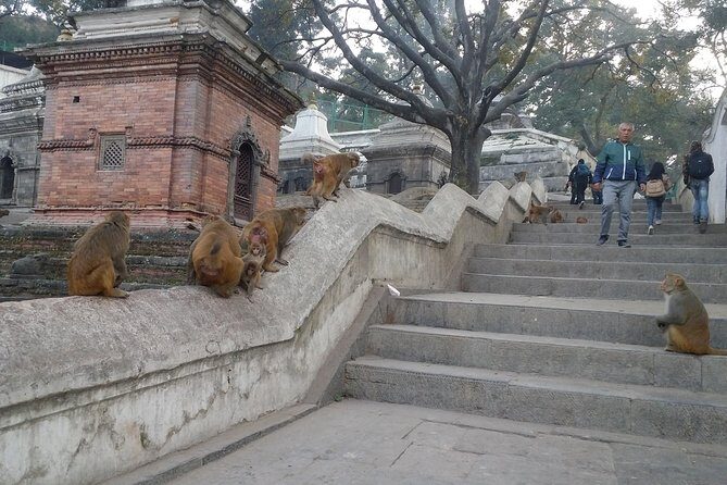 Seven UNESCO World Heritage Sites Day Tour of Kathmandu Velley - Exploring the Itinerary: A Closer Look at Each Stop