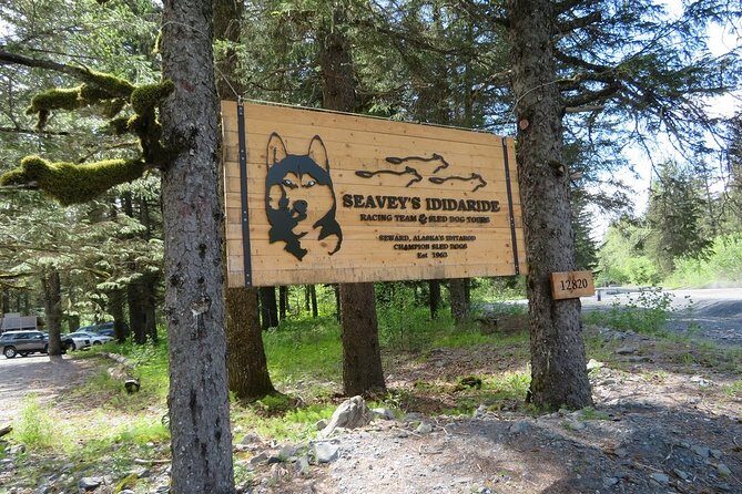Seward and Kenai Fjords National Park Guided Tour with Lunch - Who Is This Tour Best Suited For?