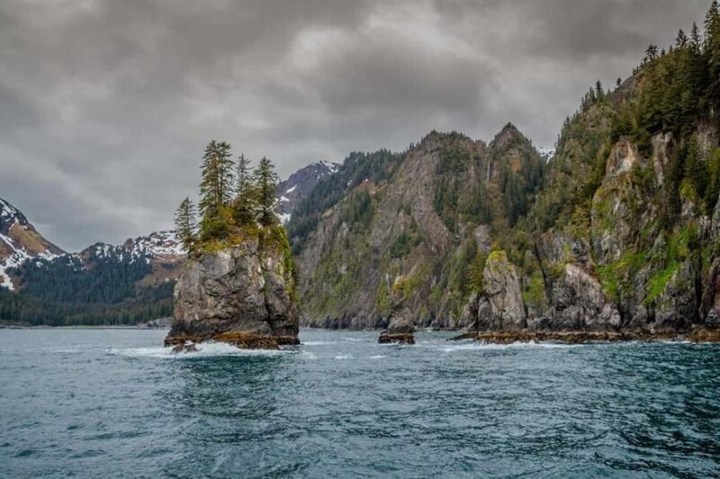 Seward: Captain's Choice Kenai Fjords National Park Tour - FAQ