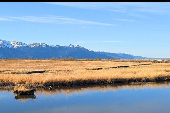 Seward Highway: A Self Guided Drive of Alaska's Historic Road - The Value Consideration