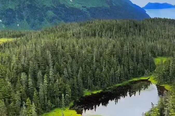 Seward Scenic 30 min Flight - Who Will Enjoy This Tour?