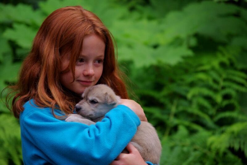 Seward: Summer Dog Sled Ride and Seavey Estate Tour - Practical Details and Tips