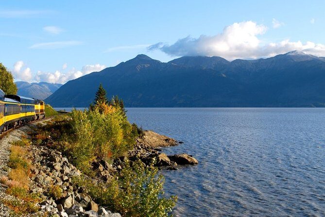 Seward to Anchorage Cruise Transfer and Private Tour - What Makes This Tour Stand Out