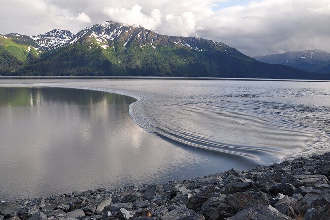 Seward to Anchorage Direct Transfer Tour - A Scenic, Hassle-Free Way to Transition From Seward to Anchorage