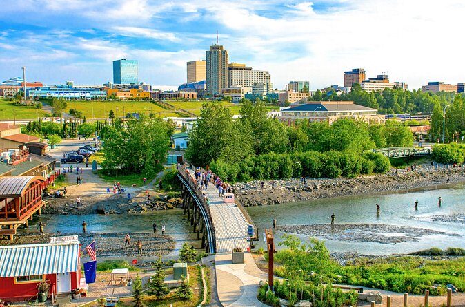 Seward to Anchorage Direct Transfer Tour - Who Would Benefit Most from This Service?