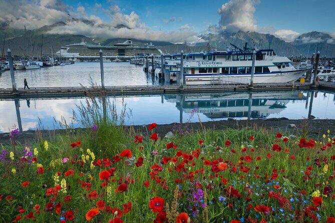 Seward to Anchorage Scenic Transfer Photo Tour - An In-Depth Look at the Itinerary