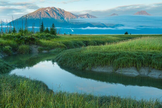 Seward to Anchorage Scenic Transfer Photo Tour - The Sum Up