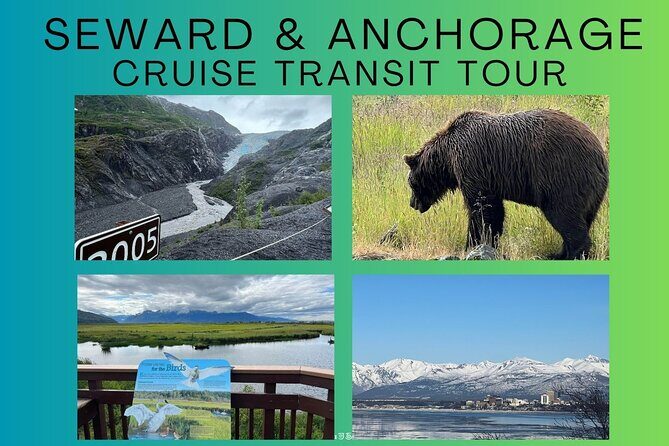Seward to Anchorage transfer with National Park hike and AWCC - Transportation and Logistics