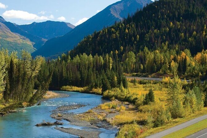 Seward to Anchorage Wildlife Adventure - Key Points