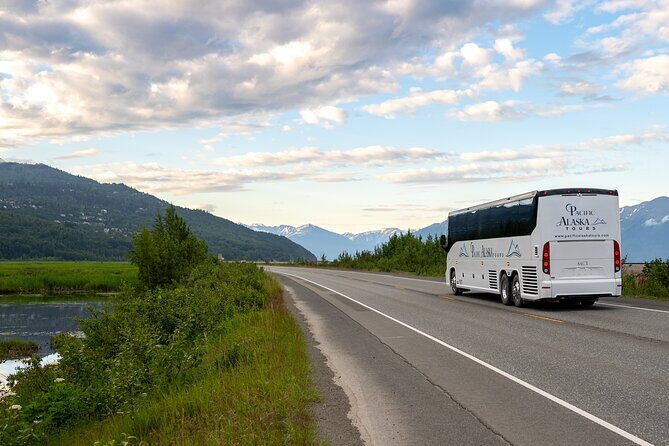 Seward to Anchorage Wildlife Adventure - Why This Tour Works