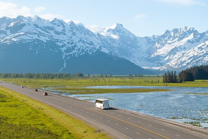 Seward to Anchorage Wildlife Adventure - Practical Tips for Potential Participants