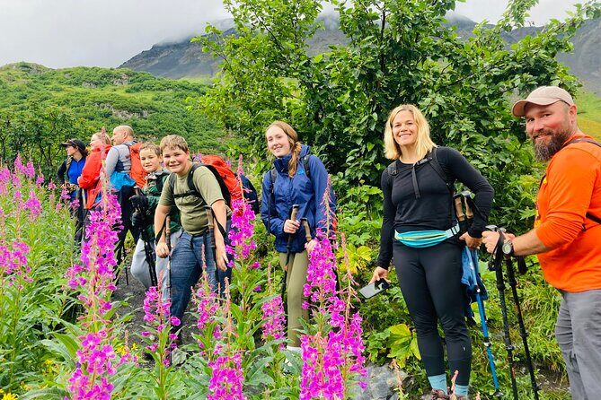 Seward Wilderness Hiking - An In-Depth Look at Seward Wilderness Hiking