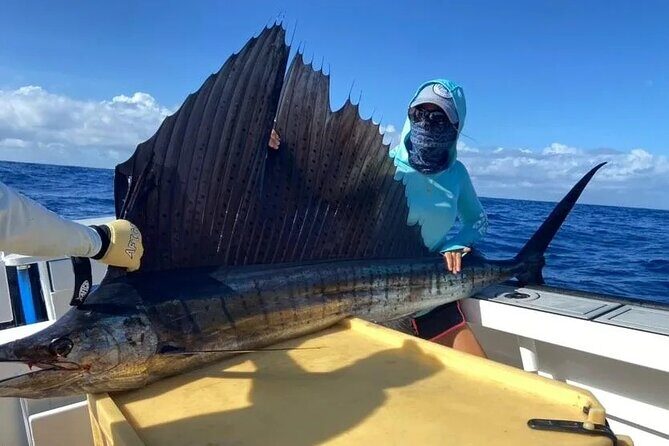 Seychelles Fishing - Price and Value
