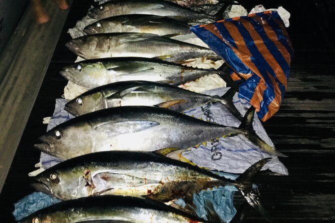 Seychelles Fishing - The Sum Up