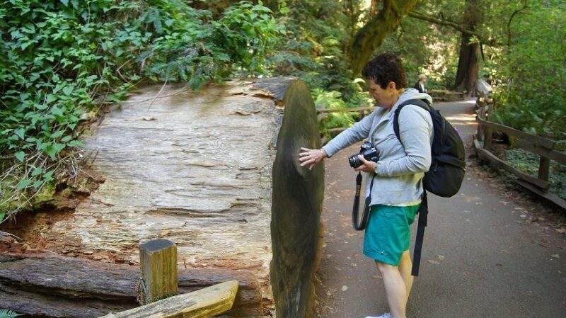 SF: Guided Muir Woods Tour & Hop-On Hop-Off Tour (Save 15%) - A Closer Look at the Itinerary and Experience