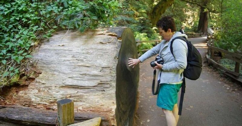 SF: Guided Muir Woods Tour & Hop-On Hop-Off Tour (Save 15%) - Authentic Experiences and Real Traveler Feedback
