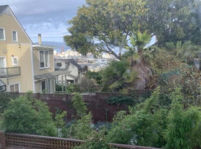 SF: Painted Ladies and the Harlem of the West Historic Tour - Final Thoughts: Who Is This Tour Best For?