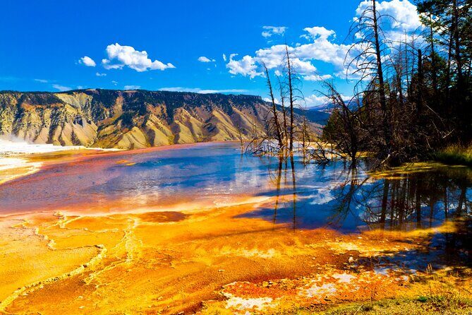 SF to Yellowstone,Grand Teton,Antelope Canyon&Vegas 7-Day Tour - Final Thoughts