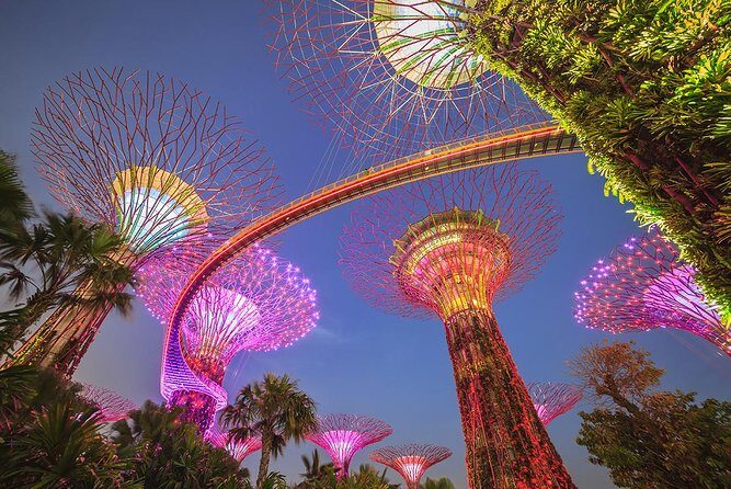 SG Gardens by the Bay Tickets & Transfer ( TRIPLE COMBO ) - Key Points