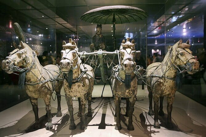 Shaanxi History Museum Qin-Han Division English guide service - Who Will Enjoy This Tour?