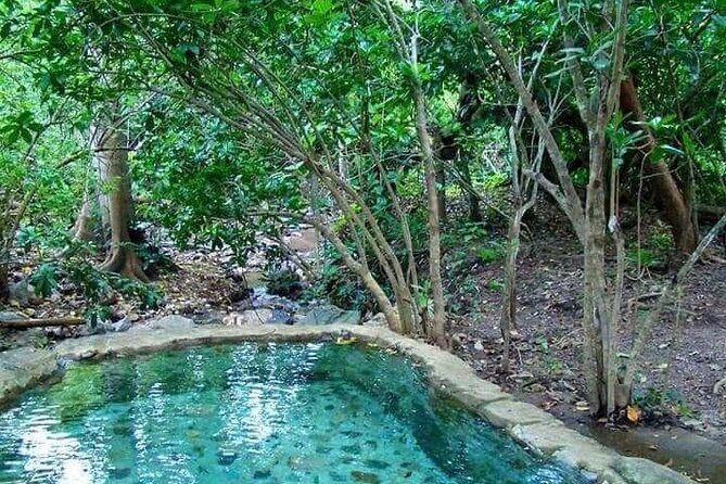 Shaded Hot Spring, Massage and Mex Grill in Puerto Vallarta - An In-Depth Look at the Tour
