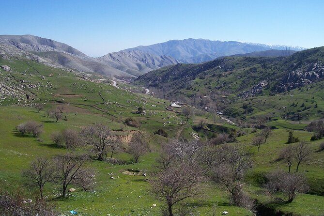 Shahrisabz Private Excursion From Samarkand. - Scenic Return to Samarkand