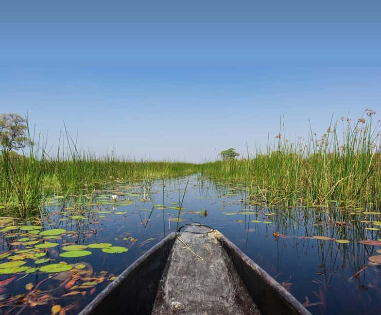Shakawe: 3-Day Okavango Eastern Panhandle Safari - FAQ