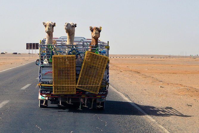 Shalatin and Obelix-Home - Discovering Shalateen and the Arabian Desert