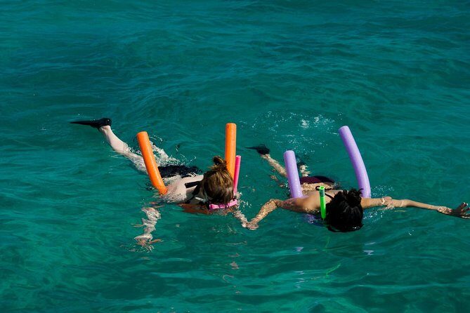 Shallow Water Snorkeling and Dolphin Watching in Key West - A Deep Dive into the Experience