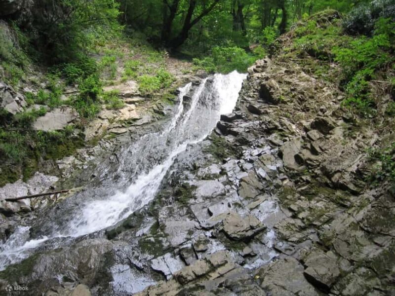 Shamakhi and Gabala Guided Day Tour - Key Points