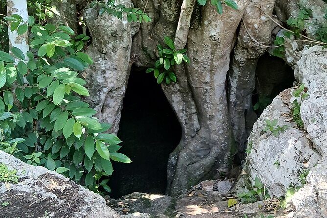Shamanic Blessing Hidden Cenotes and Village Immersion - Key Points