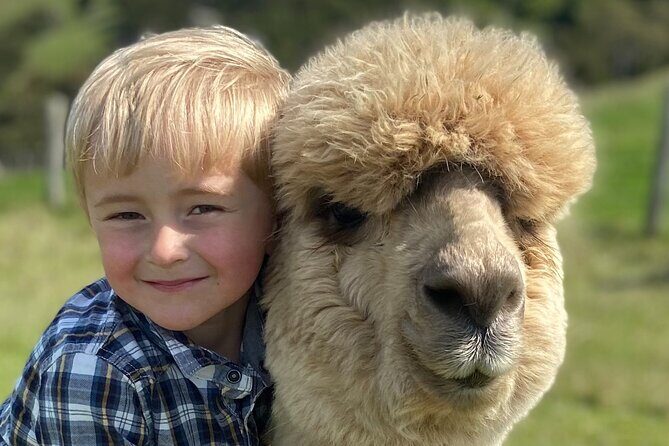 Shamarra Alpaca Farm Tours - Location and Setting