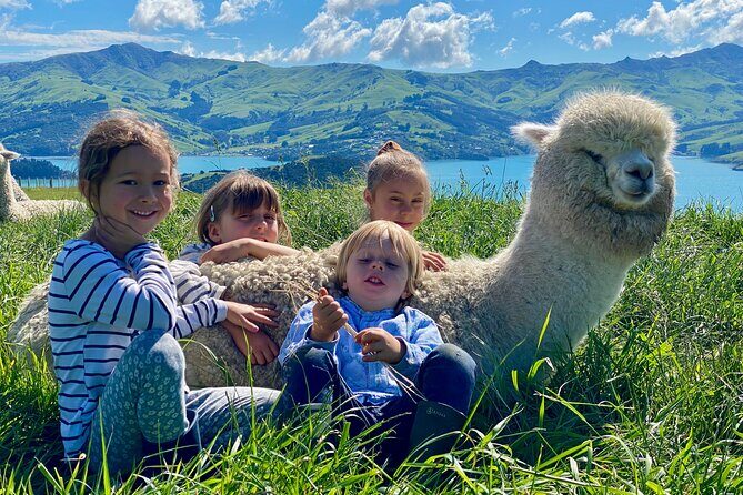 Shamarra Alpaca Farm Tours - What Makes This Experience Stand Out?