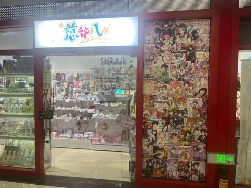 Shanghai: Anime and Pop Culture Tour with Shopping - Who Would Enjoy This Tour?