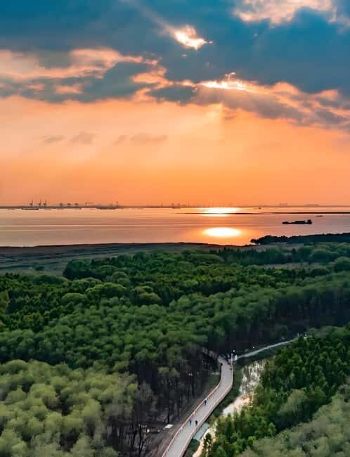 Shanghai: Chongming Island Private Tour with Lunch - Key Points