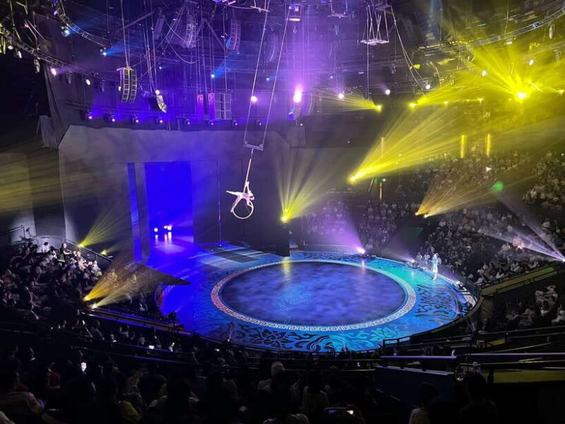 Shanghai: Circus World ERA Theatre Acrobatics Ticket - Accessibility & Practical Tips