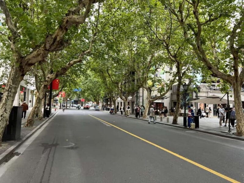 Shanghai: From Colonial Paris to Modern China Guided Tour - How the Tour Works: What’s Included and What to Expect