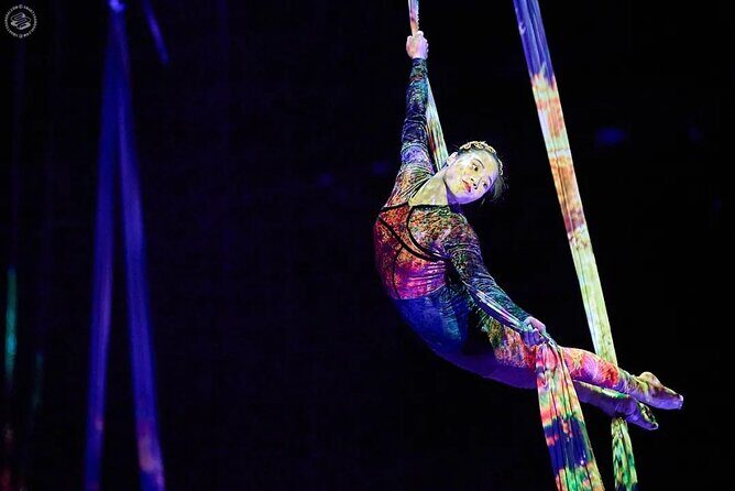 Shanghai Must-See Acrobatics Show with Private Transfer - A Closer Look at the Experience