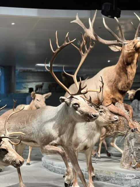 Shanghai: Natural History Museum Tickets Purchase service - Final Thoughts