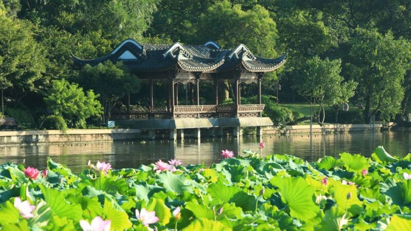 Shanghai: Private Guided Tour to Hangzhou by Bullet Train - The Details of a Memorable Day Trip
