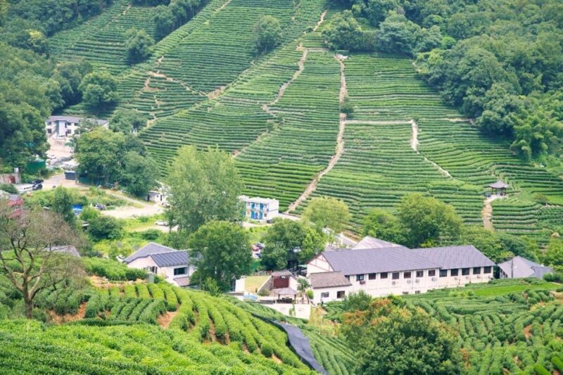 Shanghai: Private Guided Tour to Hangzhou by Bullet Train - Pricing and Value