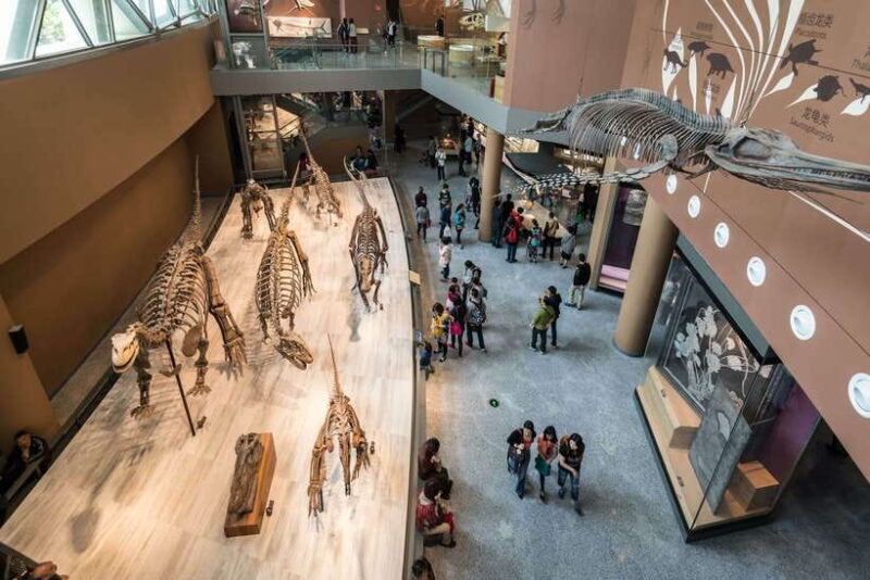 Shanghai: Private Tour of the Shanghai Museum - Key Points