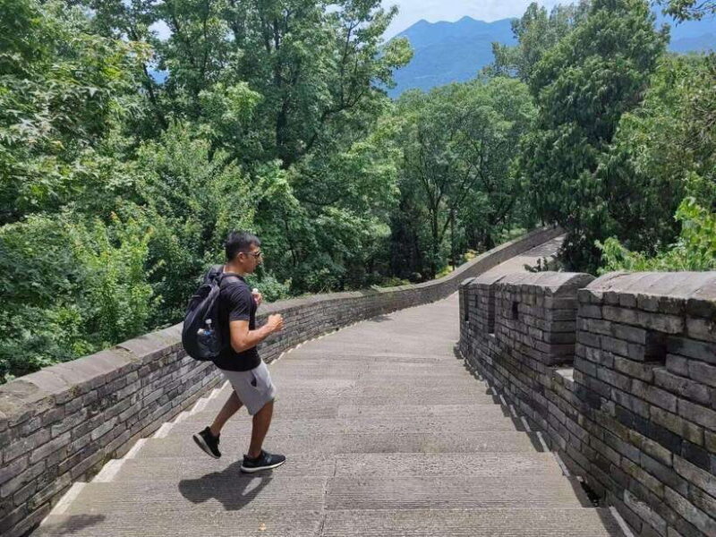 Shanghai: Southern Great Wall Day Trip by Bullet Train - Who Will Enjoy This Tour?