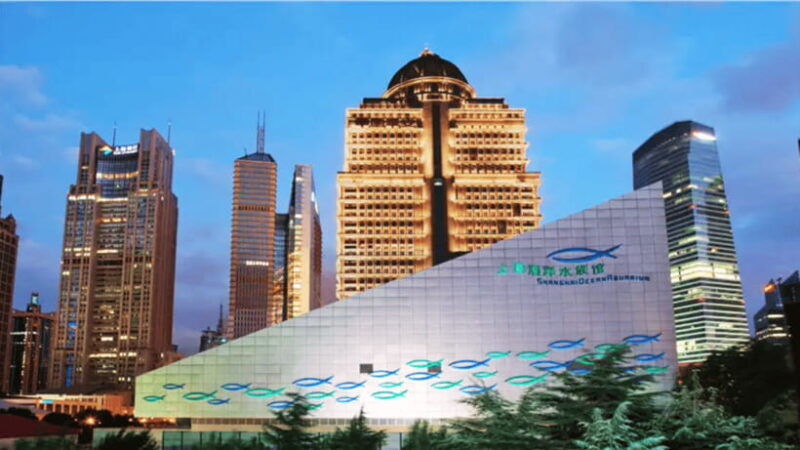 Shanghai: The Marine Wonders at Shanghai Ocean Aquarium - A detailed look at the Shanghai Ocean Aquarium experience