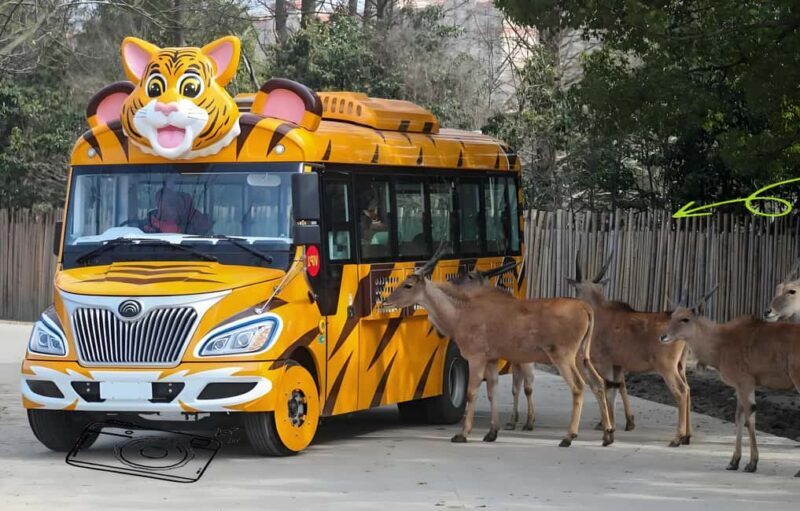 Shanghai Wildlife Park Panda & Predator Feeding Tour - The Value of a Guided Private Tour