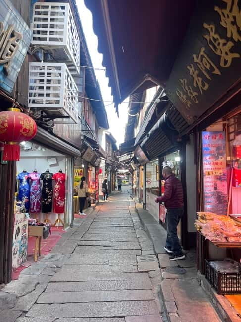 Shanghai: Zhujiajiao Water Town with Calligraphy Experience - Who Will Enjoy This Tour?
