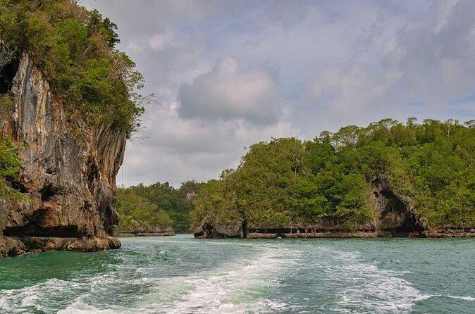 Shared 10-12 Hours Tour in Los Haitises National Park - The Experience and Reviews